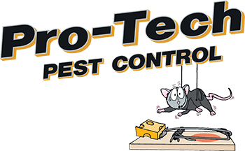 Licensed Bed Bug Extermination Services in Columbus Ohio